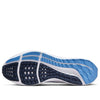 Nike Air Zoom Pegasus 39 'UNC' DR1967-400
