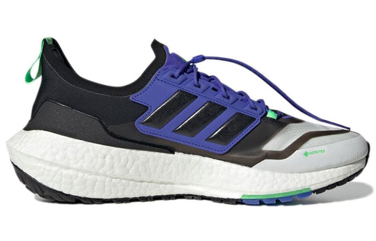 adidas UltraBoost 21 GORE-TEX 'White Sonic Ink' S23700