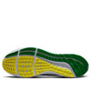 Nike Air Zoom Pegasus 39 'Oregon' DR1970-300