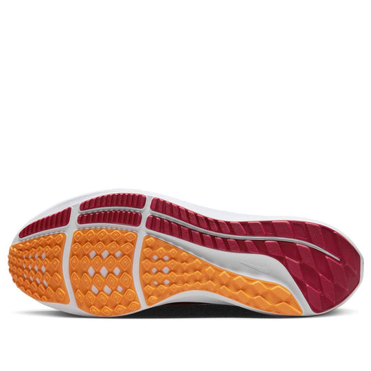 Nike Air Zoom Pegasus 39 'USC' DR1978-600