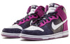 Nike SB Dunk High Pro 'Un-Heavens Gate' 305050-401