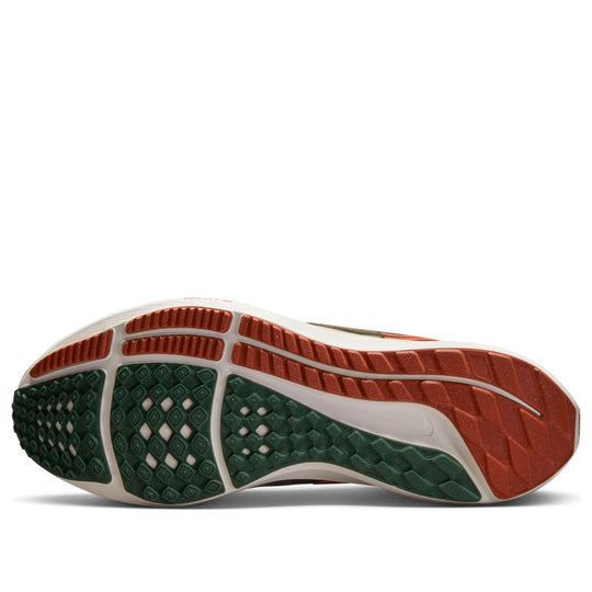 Nike x Hola Lou Air Zoom Pegasus 39 'A.I.R.' DO9500-300