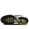Nike Air Max Plus 'Bright Cactus' DM0032-006