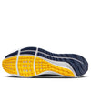 Nike Air Zoom Pegasus 39 'Michigan' DR1964-400