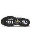 Nike Air Max Plus 'Anthracite Hasta' DC6094-002
