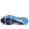 Nike Air Zoom Pegasus 39 x NFL 'Tennessee Titans' DR2063-400