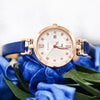 CASIOQuartz SHEEN Sapphire Crystal Waterproof Blue Strap Blue Analog