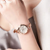 CASIOQuartz SHEEN Sapphire Crystal Waterproof Gold Strap Gold Analog