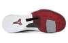 NikeZoom Kobe 5 'Lower Merion Aces Away'