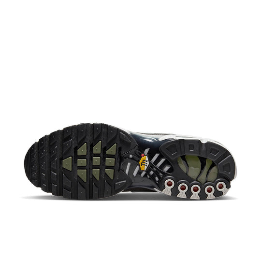 Nike Air Max Plus SE 'Flat Pewter' DV7665-002