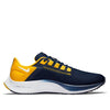 Nike Air Zoom Pegasus 38 'Michigan' DJ0838-400