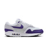 Nike Air Max 1 SC 'Field Purple' DZ4549-101