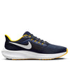 Nike Air Zoom Pegasus 39 'Michigan' DR1964-400