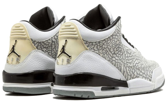 Air Jordan 3 Retro 'Flip' 315767-101