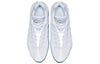 Nike Air Max 95 Essential 'White Ice' 749766-115