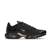 Nike Air Max Plus 'Black Metallic Gold' DC4118-001