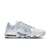 Nike Air Max Plus 'White Grey' DM2466-100