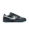 Nike Dunk Low 'Anthracite' FV0384-001