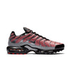 Nike Air Max Plus 'Euro Tour - Particle Grey' CW7575-001