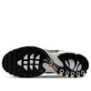 Nike Air Max Plus 'Seafoam' DH4776-100