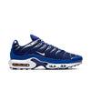 Nike Air Max Plus 'Arctic Chill' CW7024-400