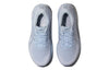 (WMNS) ASICS GT-2000 10 'Soft Sky Pure Silver' 1012B045-405