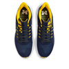 Nike Air Zoom Pegasus 39 'Michigan' DR1964-400