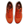 Nike Air Zoom Pegasus 39 NFL 'Cleveland Browns' DR2039-800