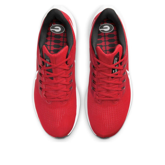 Nike Air Zoom Pegasus 39 'Georgia' DR1990-600