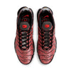 Nike Air Max Plus 'Euro Tour - Particle Grey' CW7575-001