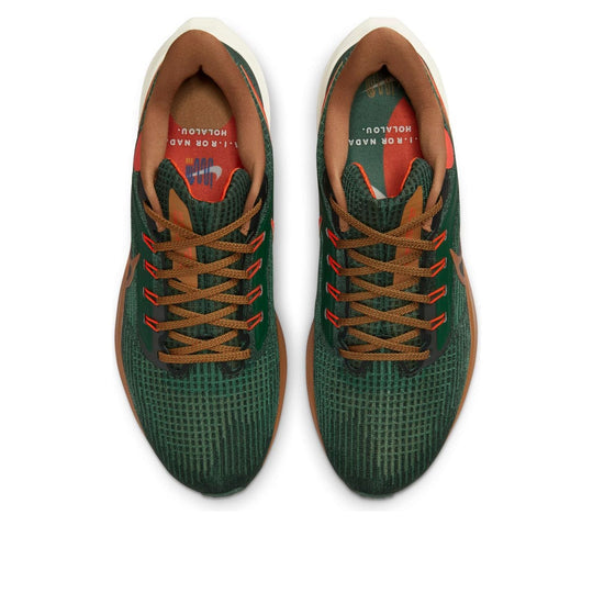 Nike x Hola Lou Air Zoom Pegasus 39 'A.I.R.' DO9500-300