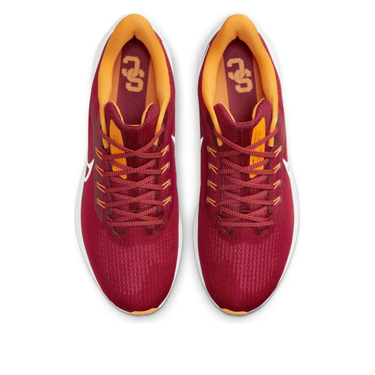 Nike Air Zoom Pegasus 39 'USC' DR1978-600