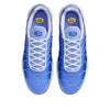 Nike Air Max Plus 'Kansas City Royals' DM0032-403