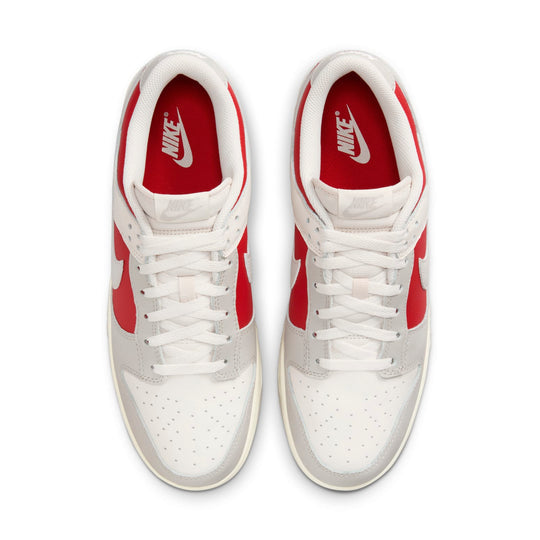 Nike Dunk Low Retro 'Light Iron Ore Gym Red' HJ9093-030