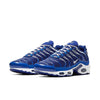 Nike Air Max Plus 'Arctic Chill' CW7024-400