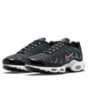 Nike Air Max Plus 'Anthracite Hasta' DC6094-002