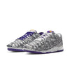 (WMNS) Nike Dunk Low 'Flip The Old School' DJ4636-100