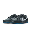 Nike Dunk Low 'Anthracite' FV0384-001