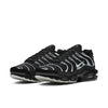 Nike Air Max Plus 'Spider Web' DD4004-001
