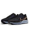 (WMNS) Nike Air Zoom Pegasus 38 'Black Metallic Gold Coin' CW7358-004