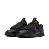 Nike Air Dunk Low Jumbo 'Black Gold' FB8894-001