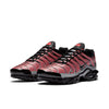 Nike Air Max Plus 'Euro Tour - Particle Grey' CW7575-001