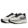 Nike Air Zoom Pegasus 39 'Grey Sail' DH4071-004