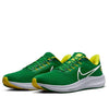 Nike Air Zoom Pegasus 39 'Oregon' DR1970-300