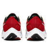 Nike Air Zoom Pegasus 38 'Sail Gym Red Black' DQ4499-101