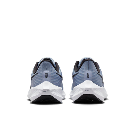 Nike Pegasus 39 'Ashen Slate Light Blue Cobalt Bliss' DH4071-401