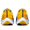 Nike Air Zoom Pegasus 38 'Michigan' DJ0838-400