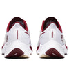 Nike Air Zoom Pegasus 37 'Florida State' CZ5377-100