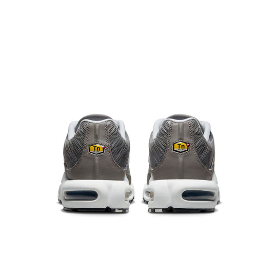 Nike Air Max Plus SE 'Flat Pewter' DV7665-002