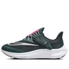 (WMNS) Nike Air Zoom Pegasus 39 FlyEase Wide 'Deep Jungle Metallic Silver' DJ7384-300